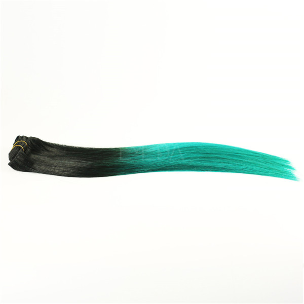 Clip in hair extensions for European people LJ215